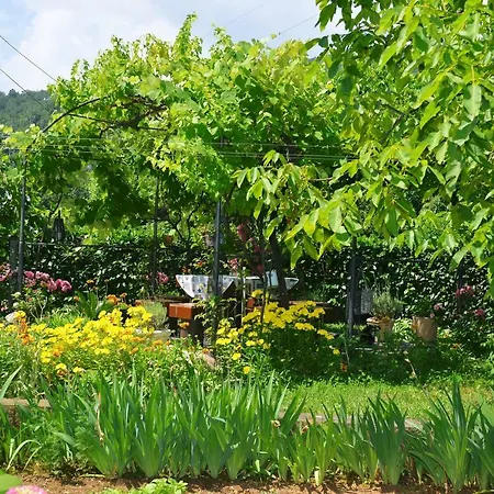 Gogo * أوباتيا